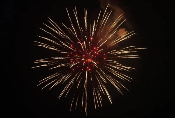 6" Professional Shells Fireworks Brocade Crown